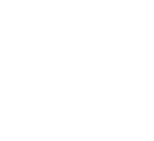 Śląska Opinia