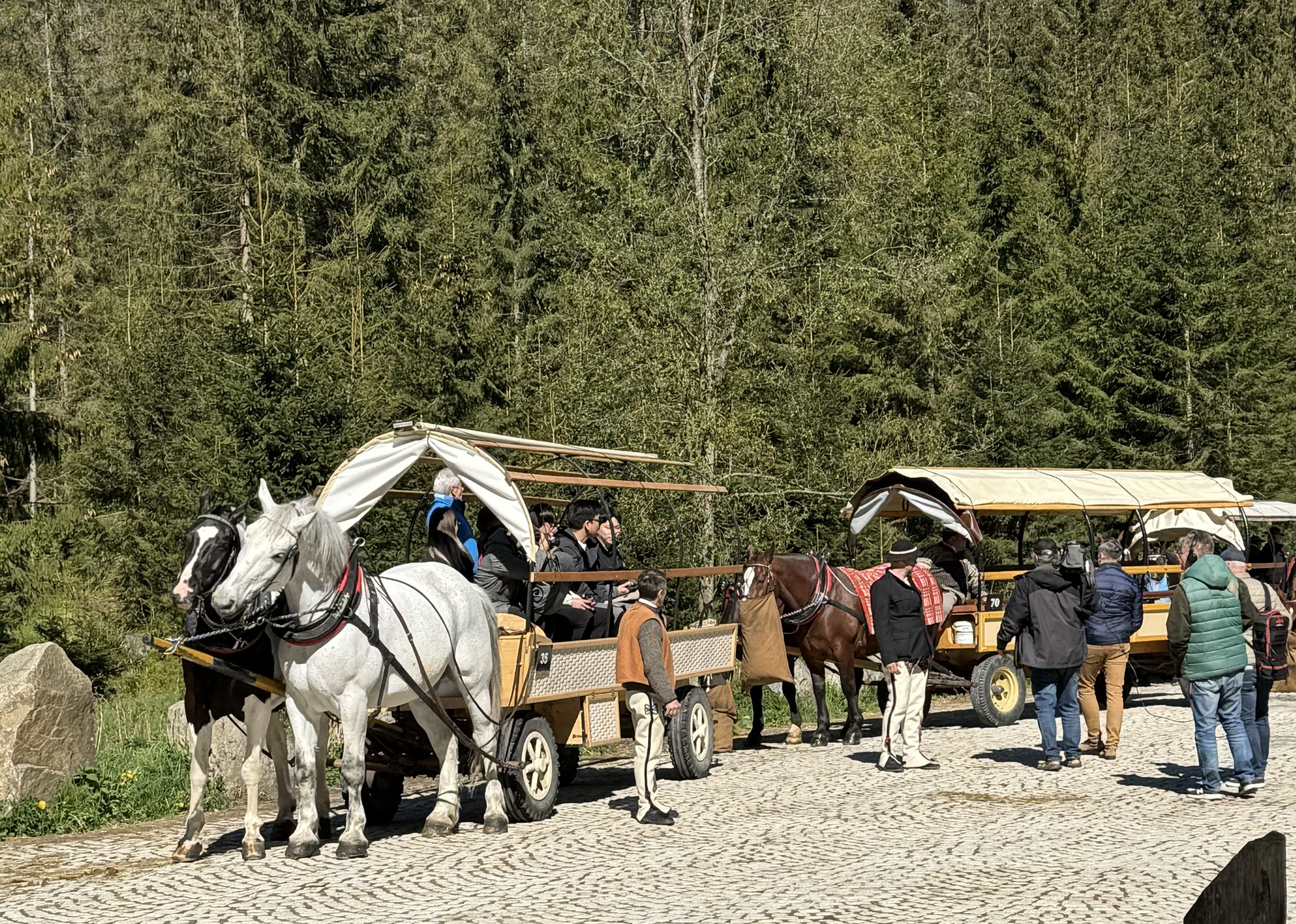 Zakopane nie może już pobierać opłaty miejscowej. Co to oznacza dla turystów i hoteli?