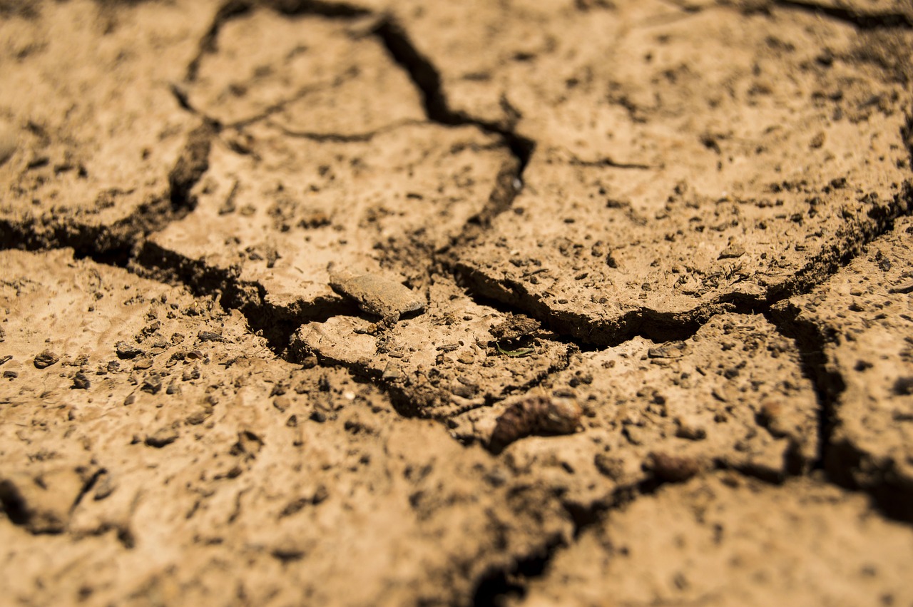 drought, aridity, dry