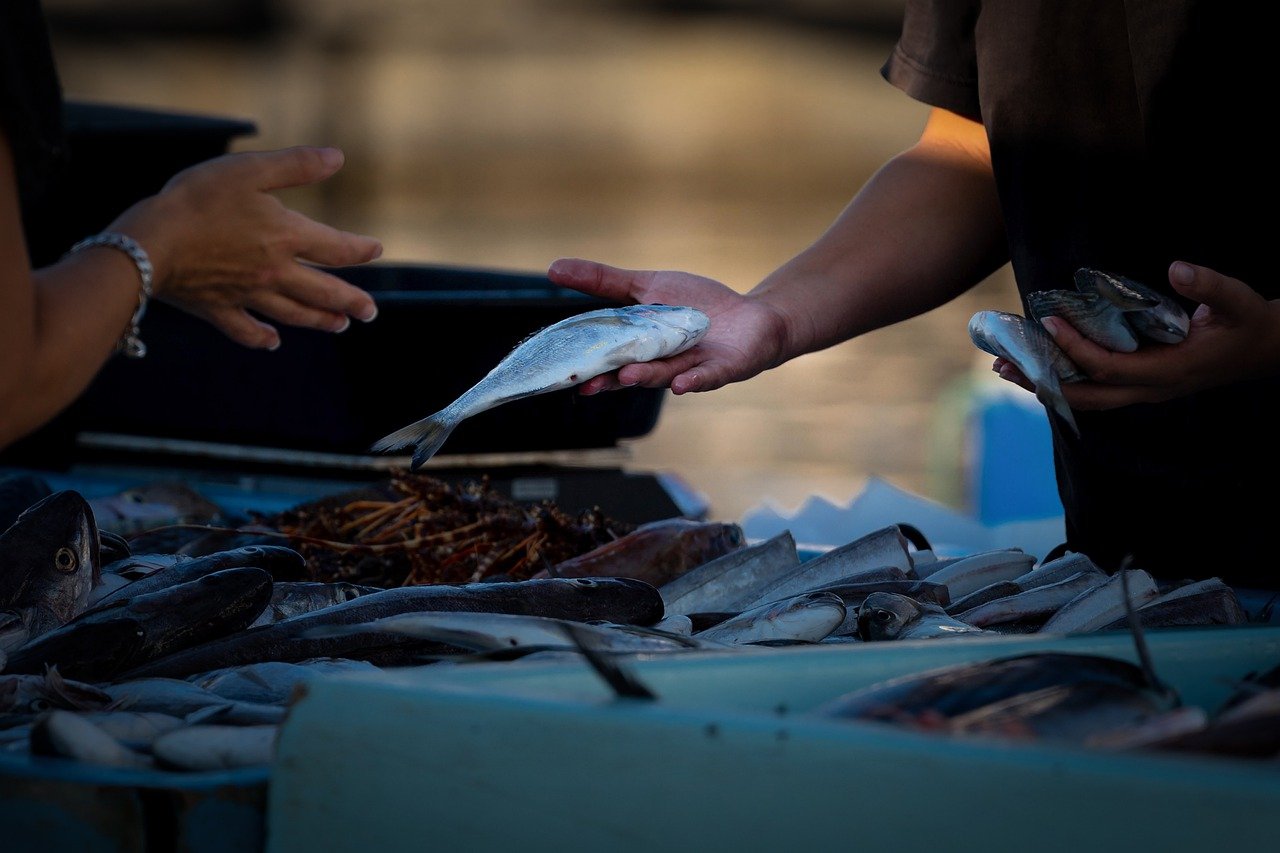 fish market, fresh fish, market