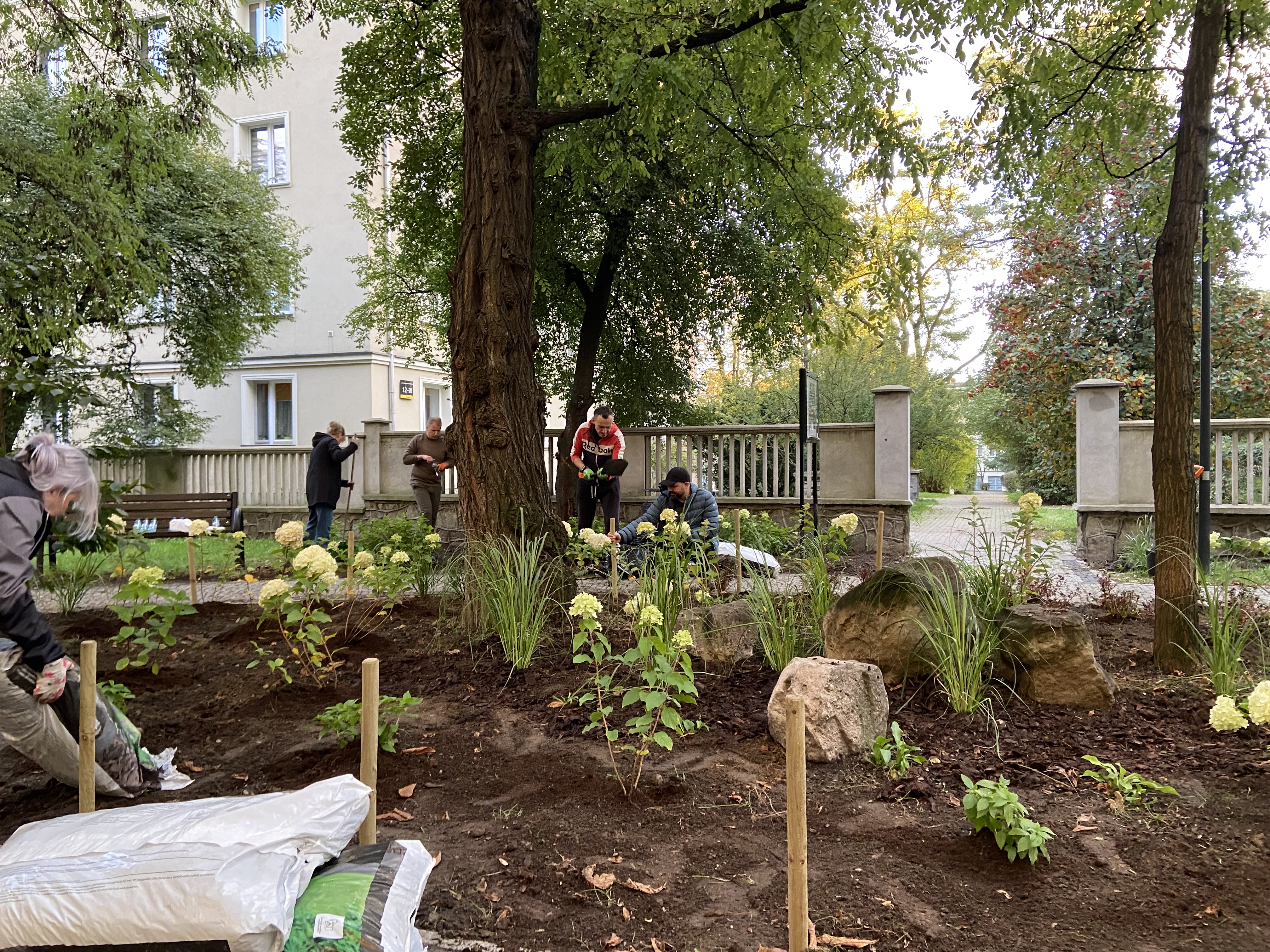 Sąsiedzi z Koszutki postanowili sami zadbać o jeden ze skwerów