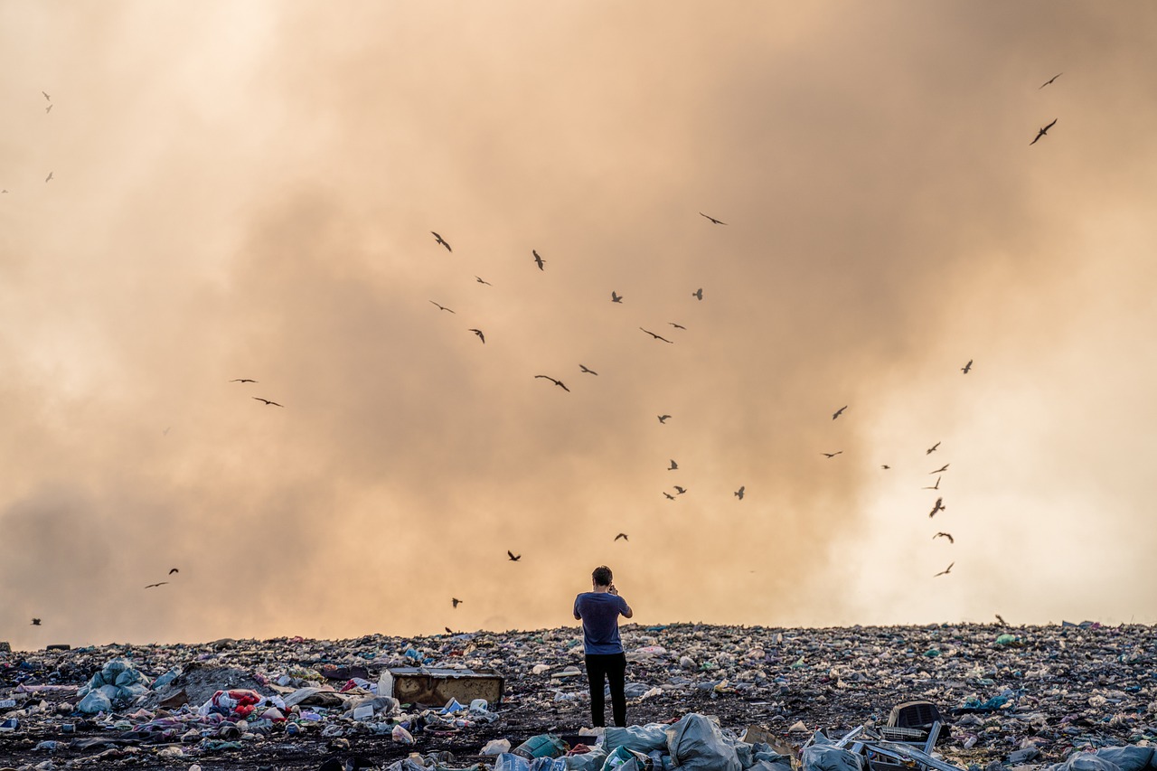 garbage, landfill, pollution, waste disposal, garbage pile, landfill, landfill, landfill, landfill, landfill