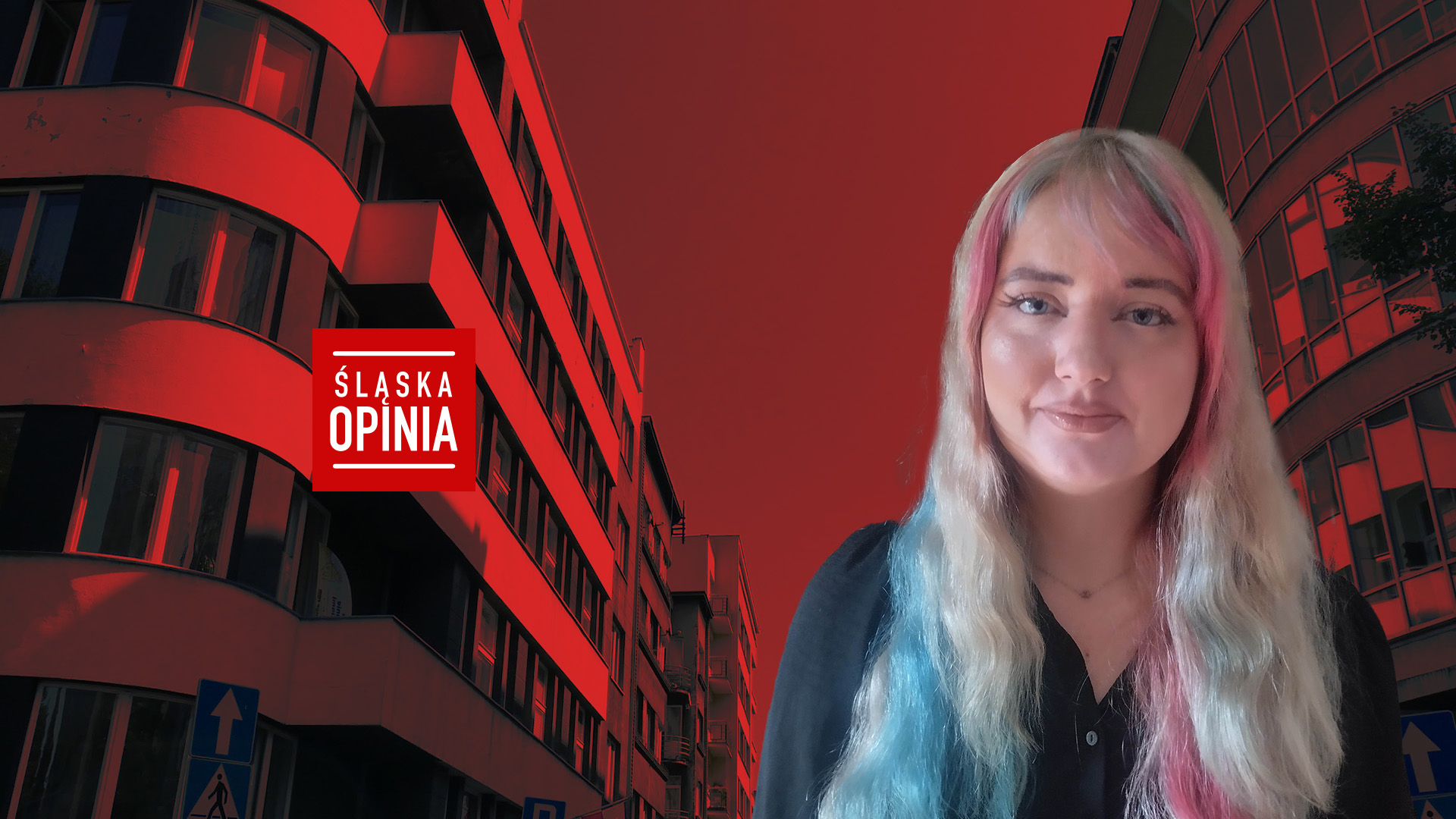 Anna Robak, Uniwersytet Śląski