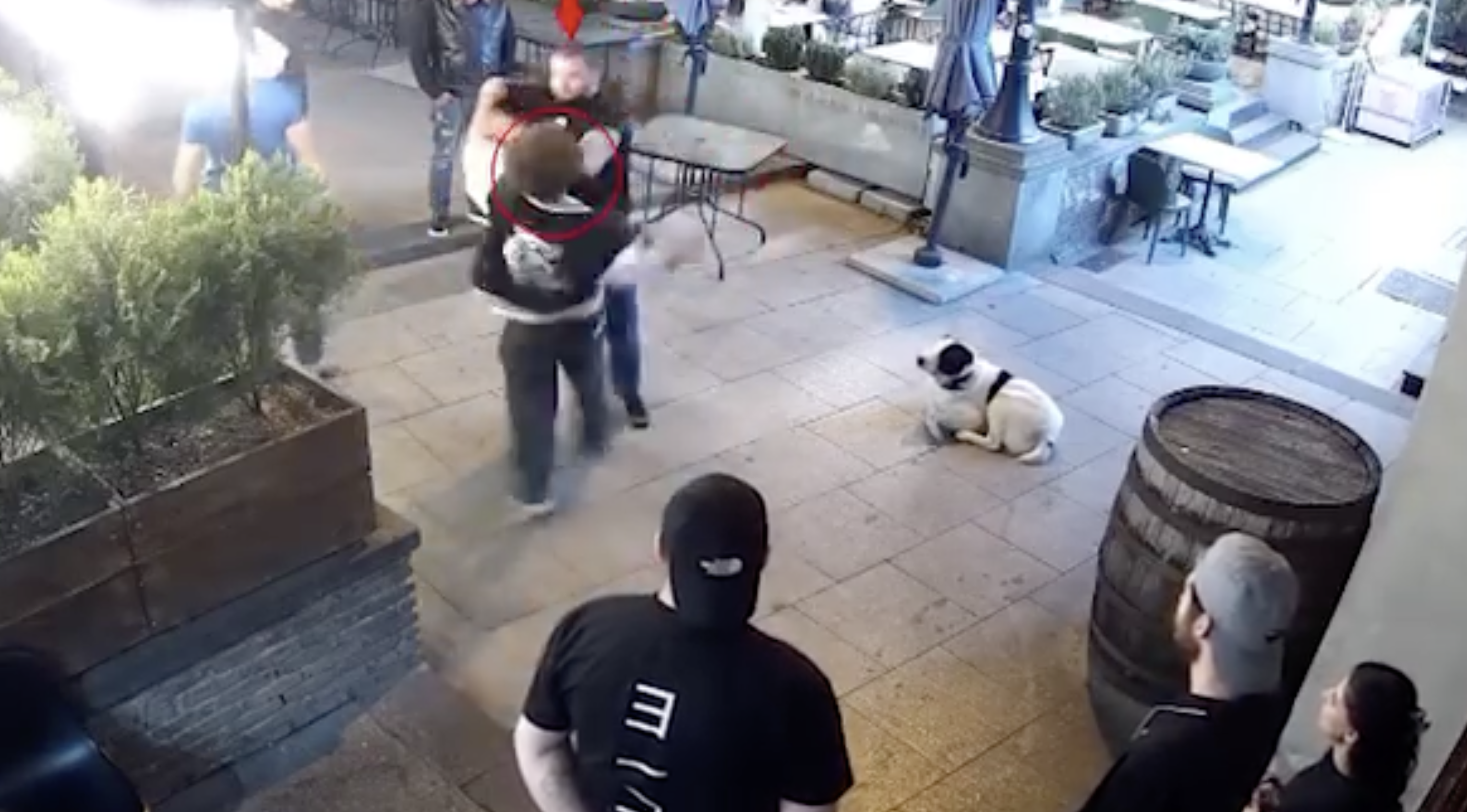 W Tbilisi doszło do brutalnego ataku na polskich funkcjonariuszy Straży Granicznej