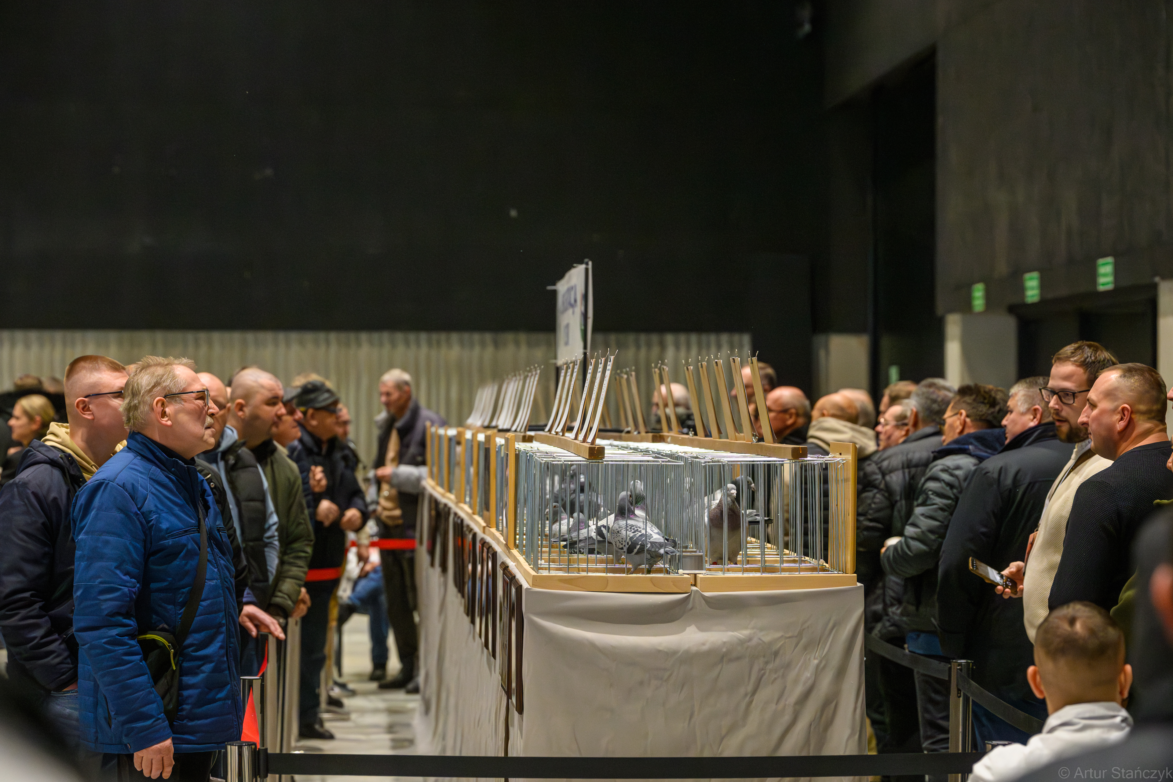 Międzynarodowe Targi Gołębi Pocztowych EXPOGołębie. Fotorelacja